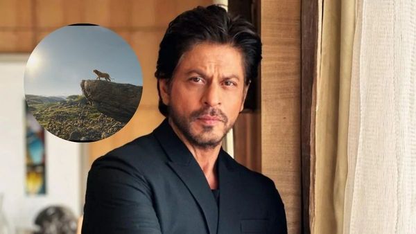 Waiting For Mufasa: The Lion King Release In India? Similarities Between Shah Rukh Khan & Mufasa To Know