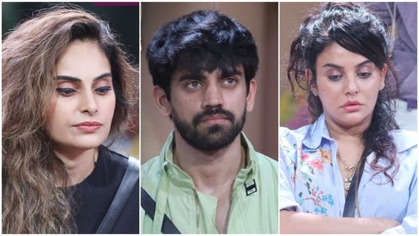 Bigg Boss 18 Opening Voting Trends Week 8: Who Is At What Position In Voting So Far? Check UPDATE