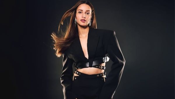 Triptii Dimri Box Office Report Card 2024: National Crush To Box Office Star; Triptii's Stellar Year in B-Town