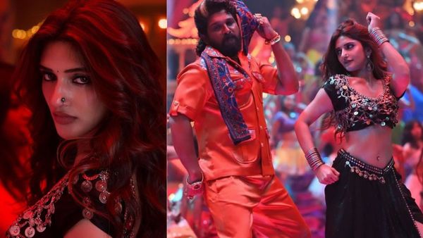 Pushpa 2 Hindi Box Office Collection Day 19 (Monday): Allu Arjun's Film Fails To Beat SRK's Pathaan