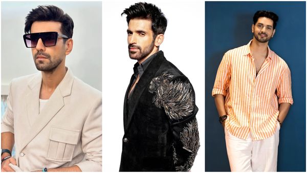 Year Ender 2024: Karanvir Sharma To Arjit Taneja; Top 5 TV Actors Who Stole Your Heart In 2024