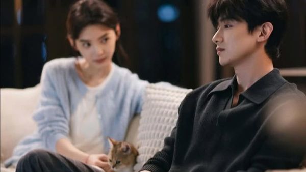 The First Frost (Cdrama) Episode 30 Netflix Release Date & Time: When Will Hidden Love Spin-Off New Ep Drop?