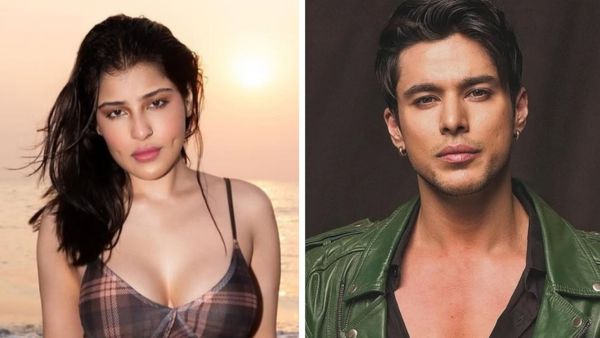 Bigg Boss 18's Edin Rose Set To Surprise Fans With Upcoming Project Alongside Pratik Sehajpal