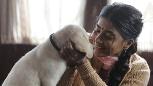 Retro: Pooja Hegde's Back-To-Back Flop Streak With Star Heroes Becomes A Hot Topic; Twitterati REACTS