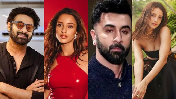 Dhadak 2, Spirit to Animal Park: 5 Thrilling Upcoming Projects Of Triptii Dimri