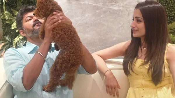 Trisha's Adorable Birthday Wish For Vijay Goes Viral, Sparks Fresh Buzz About Their Off-Screen Equation