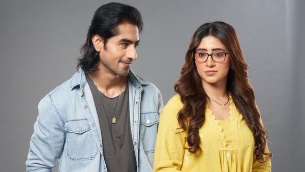Bade Achhe Lagte Hain Naya Season Twist: Will Rishabh In Show? How Will Bhagyashree Rescue Him?