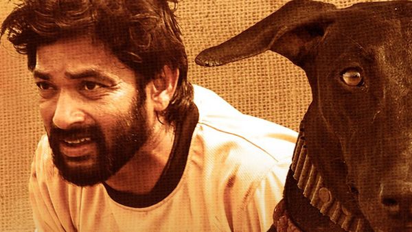 Karki OTT Release Date And Platform: Here's When And Where To Watch Pavithran's Social Drama Film Online