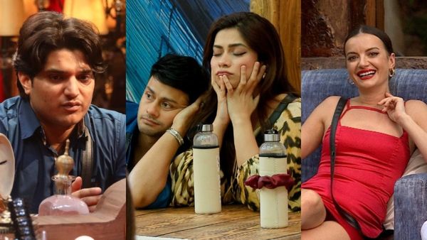 Bigg Boss 19 Eviction Voting Trends: Who Will Be In Bottom 2? Mridul, Awez, Nagma Or Natalia - UPDATE