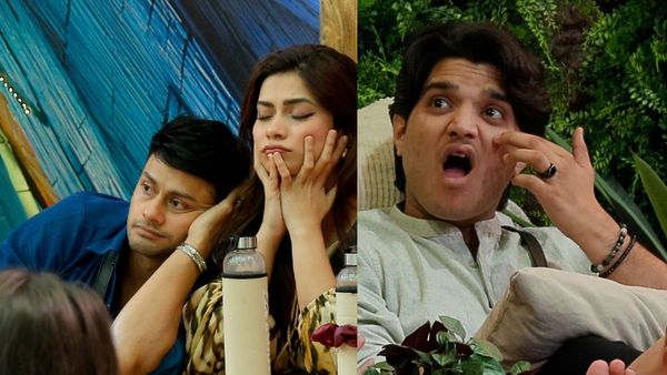 Bigg Boss 19 Voting Trends Today: Who Will Get Highest Votes? Mridul, Awez Or Nagma
