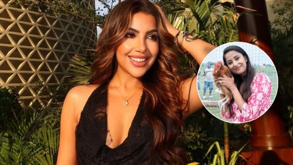 Chhoriyan Chali Gaon EXCLUSIVE: Will Rameet Sandhu Ever Participate In Bigg Boss? Calls Maera 'Drama Queen'