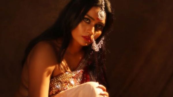 Web Series 2025: Is Pihu Singh Doing Tu Dekh Meri Photo Season 2? Did Show Get CANCELLED After Ban?