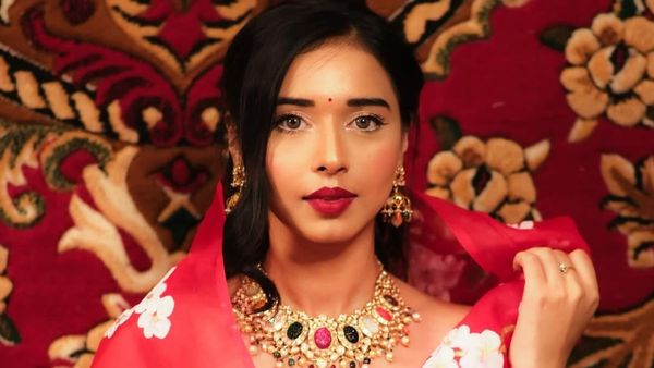 Bigg Boss 19: What Is Tanya Mittal's Monthly Salary? Inside The ‘Handmade Love’ Owner’s Earnings