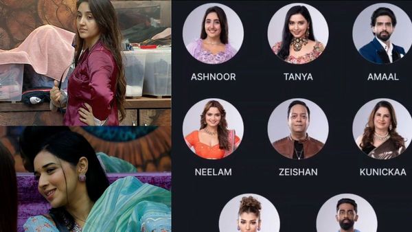 Bigg Boss 19 Voting Results: Who Will Get Highest Votes? Ashnoor, Amaal Or Tanya