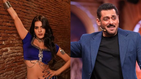 Naagin 7 Cast In Bigg Boss 19: When Will Priyanka Choudhary-Namik Paul Reveal Their First Look?