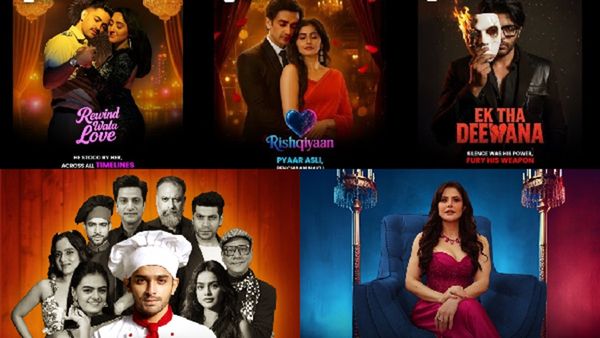 From Zareen Khan To Karanvir Bohra Celebrities To Watch Out For In These Star-studded Short Dramas!
