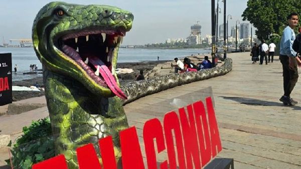 From The Amazon Forest To The Streets Of Bandra: A Giant Anaconda Installation Slithers Into The City!