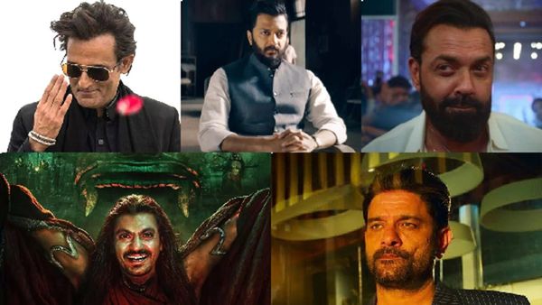 Year Ender 2025: Actors Who Made An Impact With Their Negative Roles