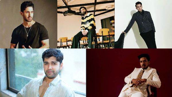 Year Ender 2025: Raghav Juyal, Vishal Jethwa To Karanvir Malhotra: Actors Who Delivered Best Performances