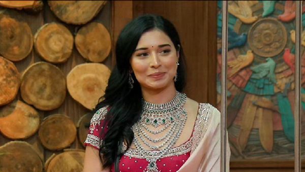 Bigg Boss 19: Tanya Mittal Dominates Bigg Boss 19 Screen Time: A True ‘1 vs All’ Moment