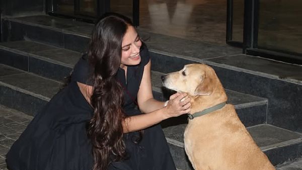 Dia Mirza’s Pawsome Moment With A Street Dog Is The Internet’s New Favourite