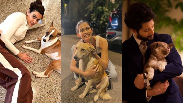 Times Bollywood Actors Melted Our Hearts With Their Adorable Pet Moments