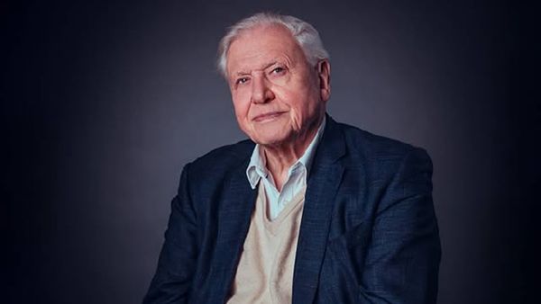 ‘Making Life On Earth': Sony BBC Earth Marks Sir David Attenborough’s 100th Birthday With Exclusive Premiere