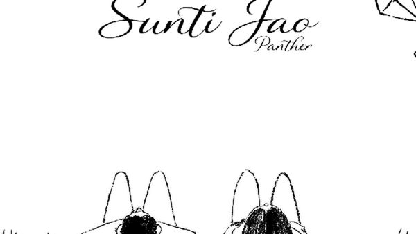 Panther Embraces Love & Vulnerability With His New Romantic Single “Sunti Jao”