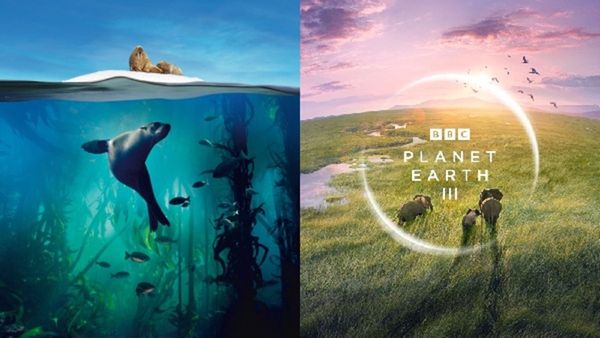 100 Years Of Sir David Attenborough: 8 Must-Watch Nature Epics To Stream This Week