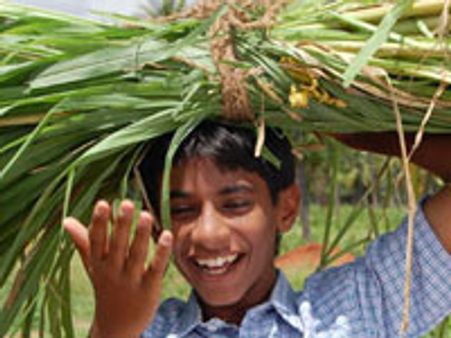 ಆರ್ಥಿಕ ಬಿಕ್ಕಟ್ಟು ಮೆಟ್ಟಿ ನಿಂತ ನಾನು ಗಾಂಧಿ