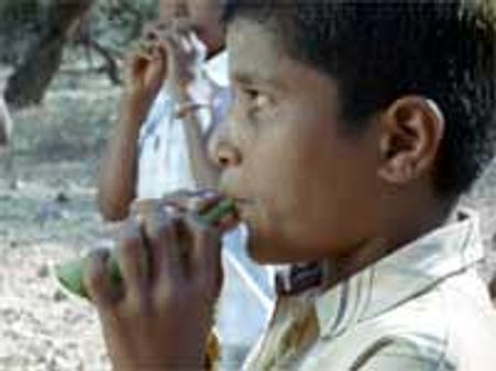 ಬೇಸಿಗೆಯ ಬಿಸಿಯಲ್ಲಿ ಬನದ ನೆರಳು ಪ್ರದರ್ಶನ