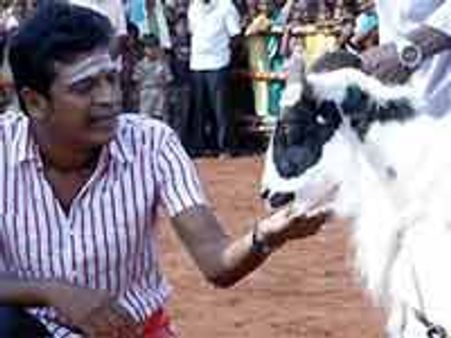 ಪ್ರಾಣಿಬಲಿ ವಿರುದ್ಧ ಹ್ಯಾಟ್ರಿಕ್ ಹೀರೋ ಫೈಟ್