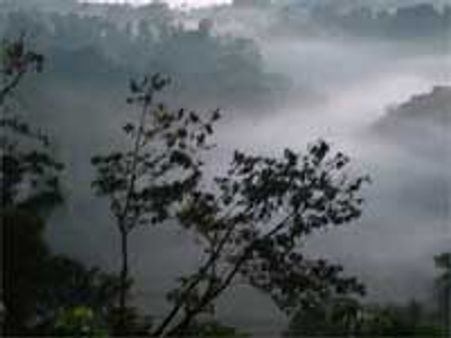 ವಿರಾಜಪೇಟೆಯಲ್ಲಿ ಕೊಡವ ಸಂಸ್ಕೃತಿಯ ಜಡಿಮಳೆ