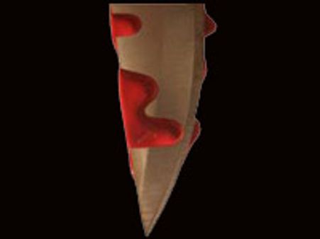 ಪತ್ನಿಯನ್ನು ಕೊಂದ ಸ್ಟಂಟ್ ಮ್ಯಾನ್ ಸೆರೆ