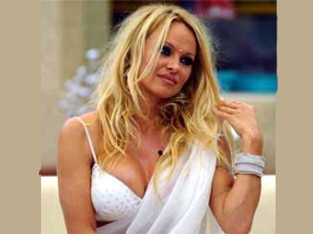 ಬಿಗ್ ಬಾಸ್ ಆಯ್ತು ಈಗ ಬಿಗ್ ಬ್ರದರ್‌ಗೆ ಪಮೇಲಾ