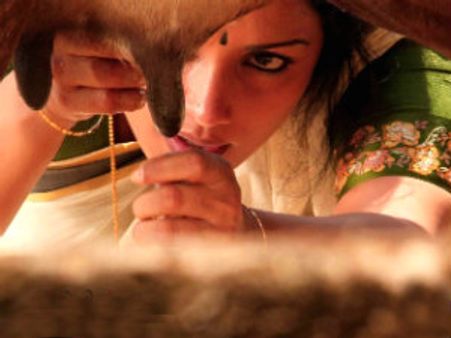 ಶ್ವೇತಾ ಮೆನನ್ ಕಾಮಪ್ರಚೋದಕ ರತಿನಿವೇದನೆ