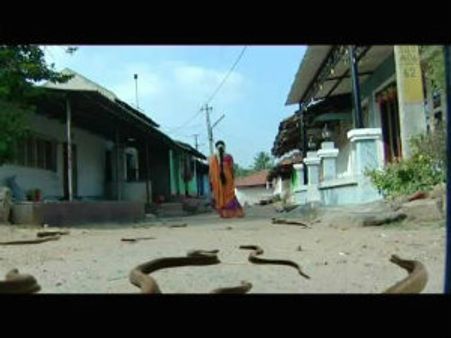 ಬಾಲೆಯರ ರೂಪದಲ್ಲಿ ಎರಡು ಹಾವುಗಳ ಪುನರ್ಜನ್ಮ