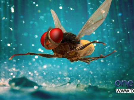 ಅಂಬರೀಶ್ ಮತ್ತು ಗಣೇಶ್ ಮೇಲೆ 'ಈಗ' ದಾಳಿ