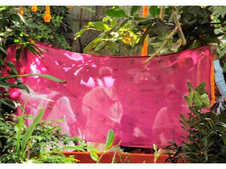 ವಿದ್ಯಾ ಬಾಲನ್ ಮದುವೆ ಹೈಲೈಟ್ಸ್, ಸುದ್ದಿ ಚಿತ್ರಗಳು