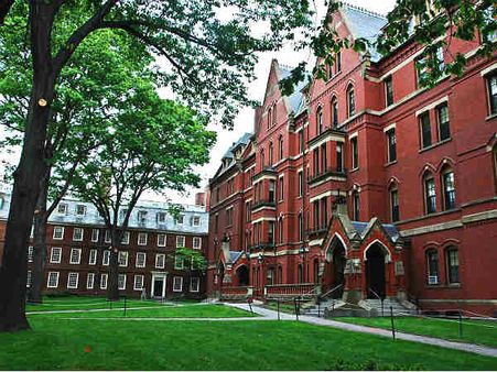 ಹಾರ್ವರ್ಡ್ ವಿವಿಗೆ ಹೊರಟುನಿಂತ Lecturer ಶಾರೂಕ್‌