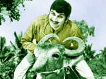 ರಾಜ್‌ ಹಾಡುಗಳ ಗುನುಗುತ್ತಾ ಪದಬಂಧ ತುಂಬಿಸಿ!