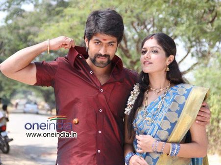 ಅರ್ಧಶತಕ ಸಂಭ್ರಮದಲ್ಲಿ ಯಶ್ 'ರಾಜಾಹುಲಿ'