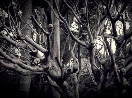 ಸಿನಿಮಾದವ್ರಿಗೆ ದೇವರಿಗಿಂತ ದೆವ್ವಾನೇ ಬಲು ಇಷ್ಟ