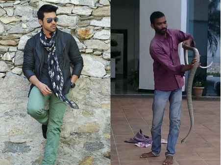 ನಟ ರಾಮ್ ಚರಣ್ ಮನೆಯಲ್ಲಿ ಕೇರೆಹಾವು ಪ್ರತ್ಯಕ್ಷ