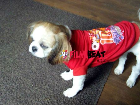 ರಾಘಣ್ಣನ ಮುದ್ದಿನ ನಾಯಿಮರಿ ನೋಡಿದ್ದೀರಾ?