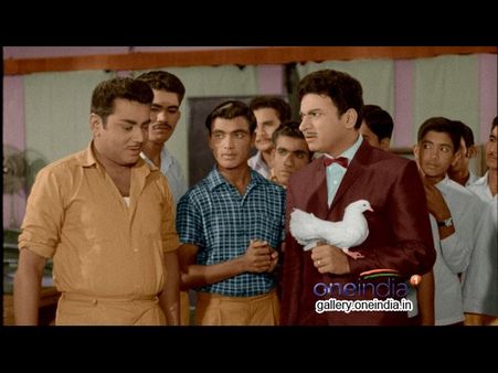 ನಾ ನೋಡಿದ ಕಸ್ತೂರಿ ನಿವಾಸ: ಕಾಡುವ ರಾಜ್ ಅಭಿನಯ