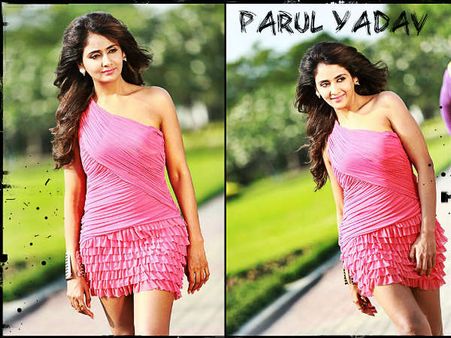 ಪರುಲ್ 'ವಾಸ್ತು ಪ್ರಕಾರ' ಪ್ರಾಣಾಪಾಯದಿಂದ ಪಾರು