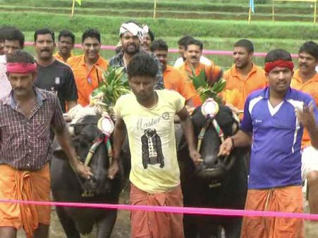 ನಿಲ್ಸಿದ್ದಾ, ಹಾಕಿ ಇನ್ನೊಂದಾಕಿ: ಕೆಸ್ರುಗದ್ದೆಯಲ್ಲಿ ರಕ್ಷಿತ್ ಶೆಟ್ಟಿ ಹುಲಿಡ್ಯಾನ್ಸ್