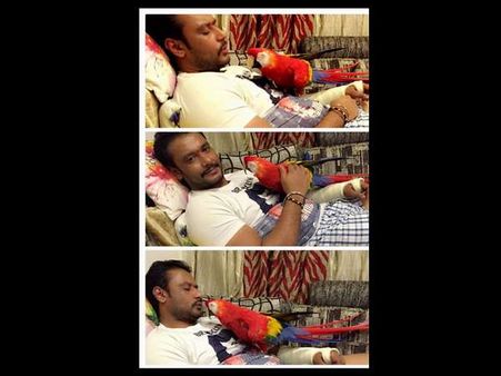 ದಕ್ಷಿಣ ಅಮೆರಿಕದಿಂದ ದರ್ಶನ್ ಮನೆಗೆ ಬಂದ ಹೊಸ ಅತಿಥಿ
