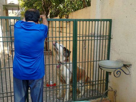 ಅಂಬರೀಶ್ ಮನೆಯ 'ಕನ್ವರ್ ಲಾಲ್' ಮತ್ತು 'ಬುಲ್ ಬುಲ್' ನೋಡಿದ್ದೀರಾ?